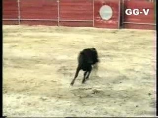 Feria de Algodonales 1992