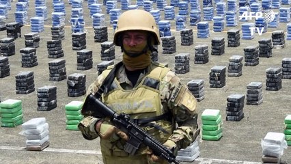 Policía panameña decomisa 1,7 toneladas de cocaína en zona indígena