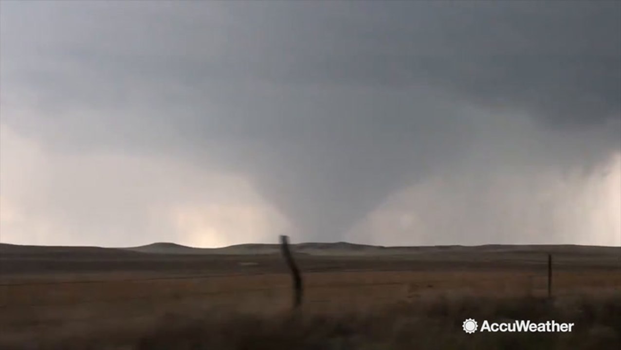 'Massive wedge! Massive wedge!' spotted