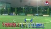 FULL | U15 Việt Nam - U15 Iceland | Giải bóng đá nữ quốc tế 2019 | VFF Channel