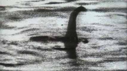 Monster Loch Ness Bisa Jadi Belut