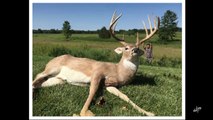 Hunting Stereotypes | Dude Perfect