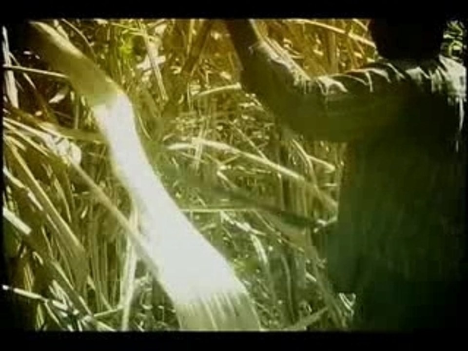The Sugar Babies - (Haïti/Rép. Dominicaine) Extrait 2