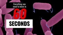 Sepsis - Everything  you need to know about sepsis