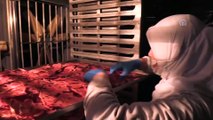 ABD ve Avrupa'ya cips formunda kavun karpuz ihracatı - AFYONKARAHİSAR