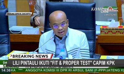 Desmond J. Mahesa “Marahi” dan Merasa Ragu dengan Capim KPK Lili Pintauli