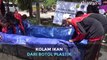 Kreatif! Kolam Ikan dari Botol Plastik Bekas