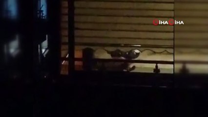 Maltepe'de köpeğe işkence eden şahıs gözaltına alındı