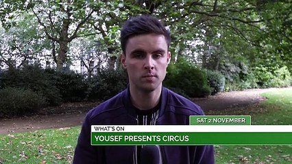 Willy Wonka Event, Fireworks Championship, Yousef Circus + Halloween Cruise
