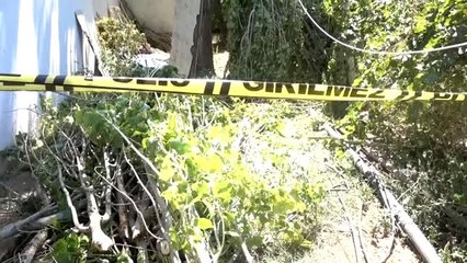Kestiği kavak ağacının dallarına başı sıkışan kişi öldü