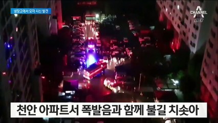 폭발음 함께 아파트 화재…냉장고서 모자 시신 발견
