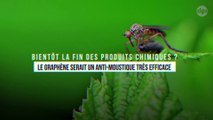Bientôt la fin des produits chimiques ? Le graphène serait un anti-moustique très efficace