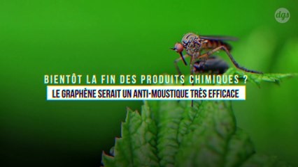 Bientôt la fin des produits chimiques ? Le graphène serait un anti-moustique très efficace