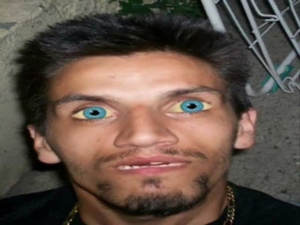 Pipo