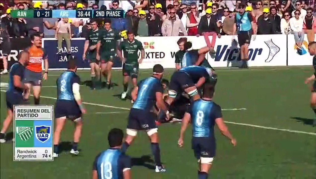 Les Pumas corrigent Randwick sur le score de 74 à 0