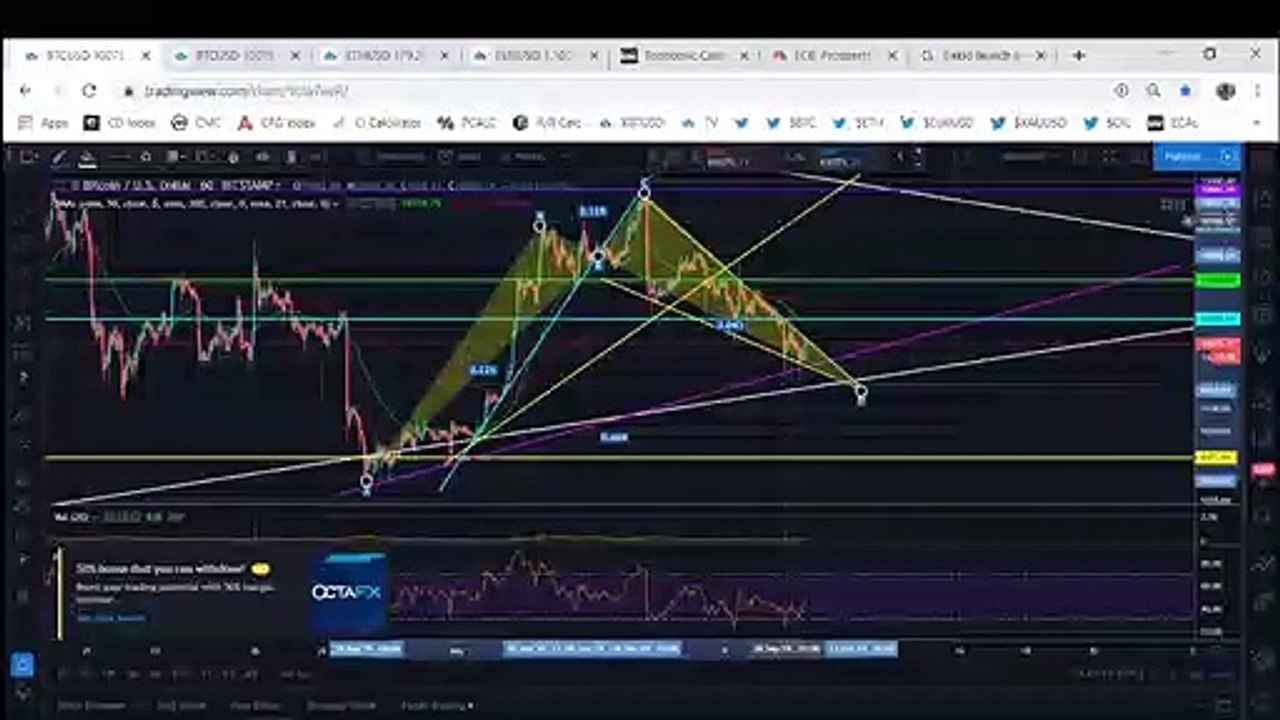 Bitcoin BTC Bulls Finally Come To The Rescue (September 2019)