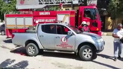 Gazetecilerin otomobiline kedi sıkıştı - ŞANLIURFA