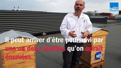 Le_BZZZ_de_la_semaine_15 - Peut-on être poursuivi par un essaim entier d'abeilles?