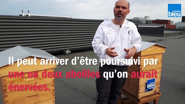 Le_BZZZ_de_la_semaine_15 - Peut-on être poursuivi par un essaim entier d'abeilles?