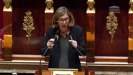 HERAULT - LGV Montpellier-Perpignan : allocution de Mme Ménard à l'occasion de la nouvelle lecture du projet de loi d'orientation des mobilités