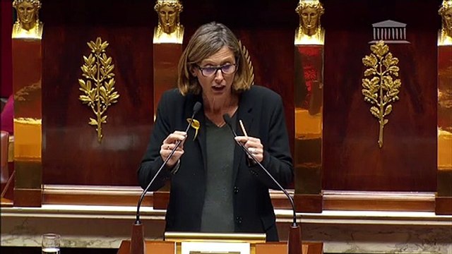 HERAULT - LGV Montpellier-Perpignan : allocution de Mme Ménard à l'occasion de la nouvelle lecture du projet de loi d'orientation des mobilités