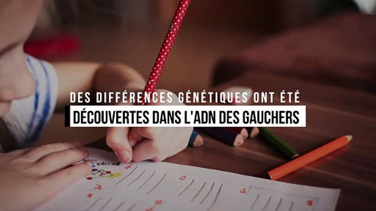 Pour la première fois, des différences génétiques ont été découvertes dans l'ADN des gauchers