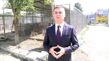 Gölbaşı'ndaki hayvan barınağı taşınsın talebi - ANKARA