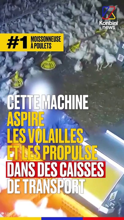 Cinq terribles machines qui bafouent le bien-être animal