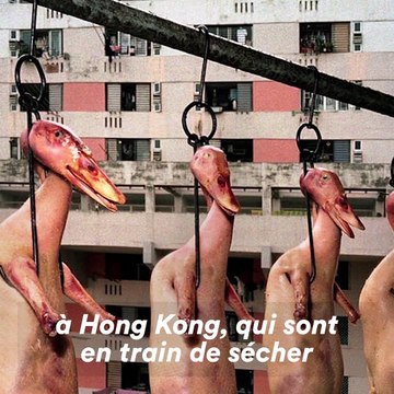 Pour moi, la photo, c'est pour communiquer ma vision du monde Michael Wolf | One Minute Portrait
