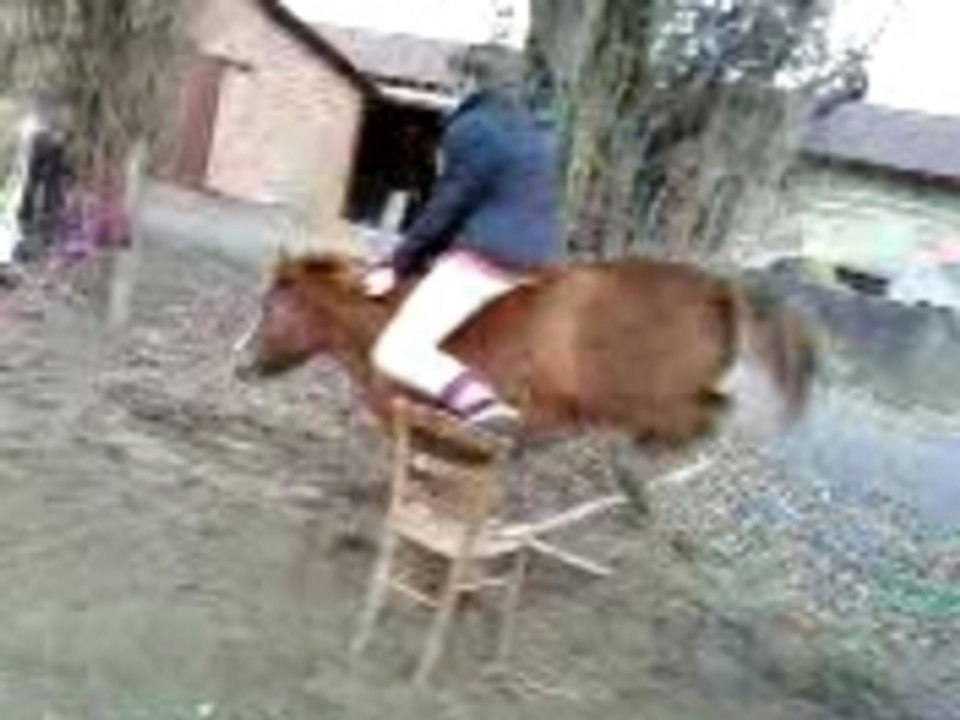 AGAT' et flika