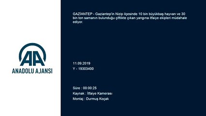 10 bin büyükbaş hayvanın bulunduğu çiftlikte yangın - GAZİANTEP
