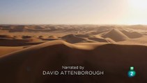 Planeta Tierra II - Desiertos
