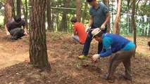 산삼도 캐고 건강도 챙기는 함양 산삼축제 개막 / YTN