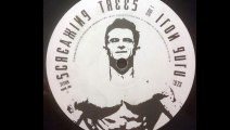 Screaming Trees - Iron Guru (A1)