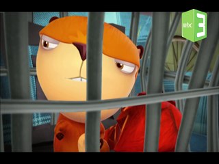 ميرل يختار القفص.. شاهد الفيديو