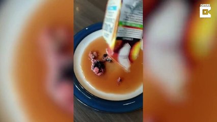 Jus d'orange : il trouve des morceaux d'animaux dans la bouteille !