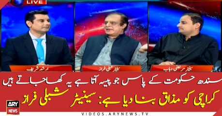 Sindh government has turned Karachi into a mockery: Shibli Faraz