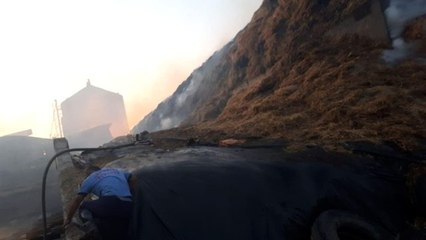 100 bin hayvanın bulunduğu çiftlikte yangın