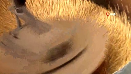 Leblebi Denizli'nin mi yoksa Çorum'un mu tartışmaları yeni bir boyut kazandı