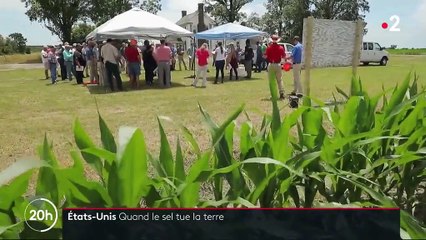 États-Unis : quand le sel dégrade les terres cultivables