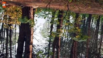 Ferhat’ın cani planları! - Sen Anlat Karadeniz 55.Bölüm