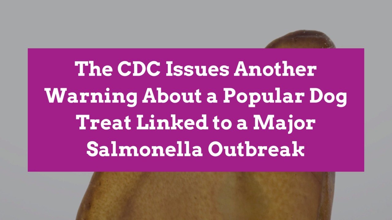 The CDC Issues Another Warning About a Popular Dog Treat Linked to a Major Salmonella Outbreak