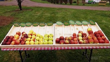 The Amazing Race Canada S07E10 He's Basically a Hound