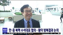 한·중 북핵 수석대표 협의…왕이 방북결과 논의