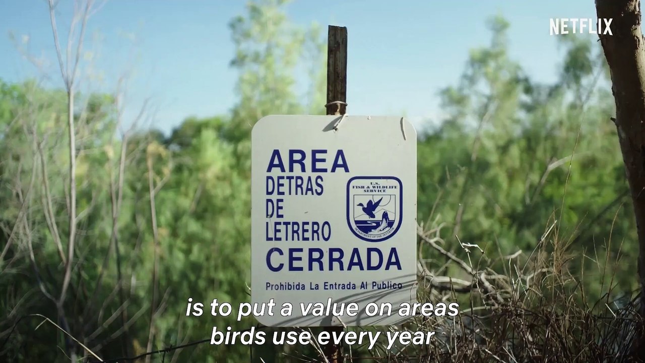 Birders movie