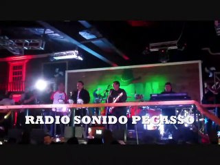 PEGASSO EN EL HOMENAJE A FREDMAN CRUZ