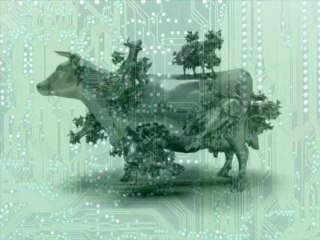 Félix Guattari, fragments