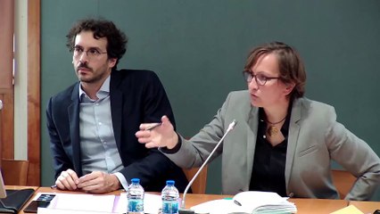 Pratiques prétendant modifier l’orientation sexuelle ou l’identité de genre d’une personne (suite) - Mercredi 4 septembre 2019