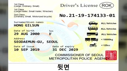 국제면허증 없이 외국에서 운전한다...16일부터 발급 / YTN