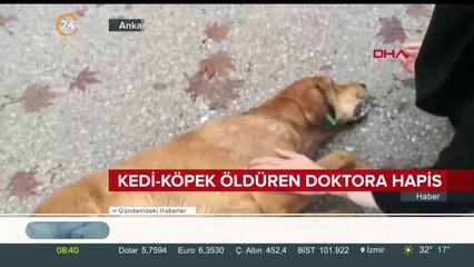 Kedi köpek zehirleyen doktora 5 yıl hapis